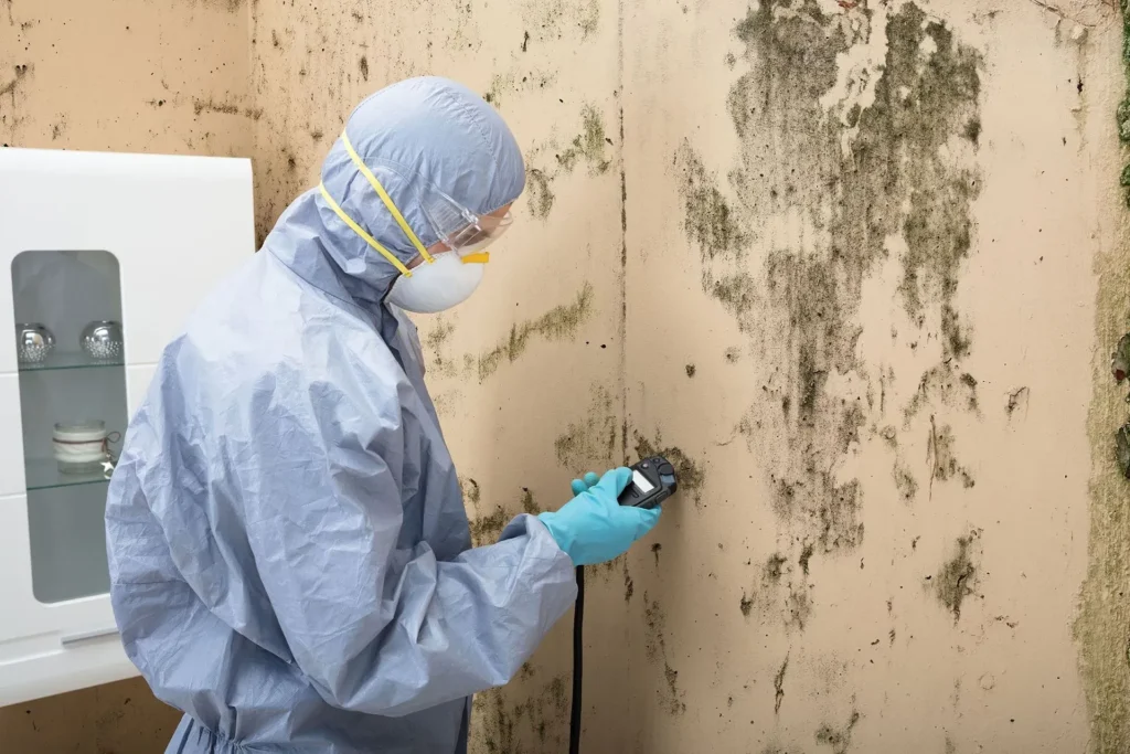 mold remediation technician inspecting heavy wall mold growth with protective gear